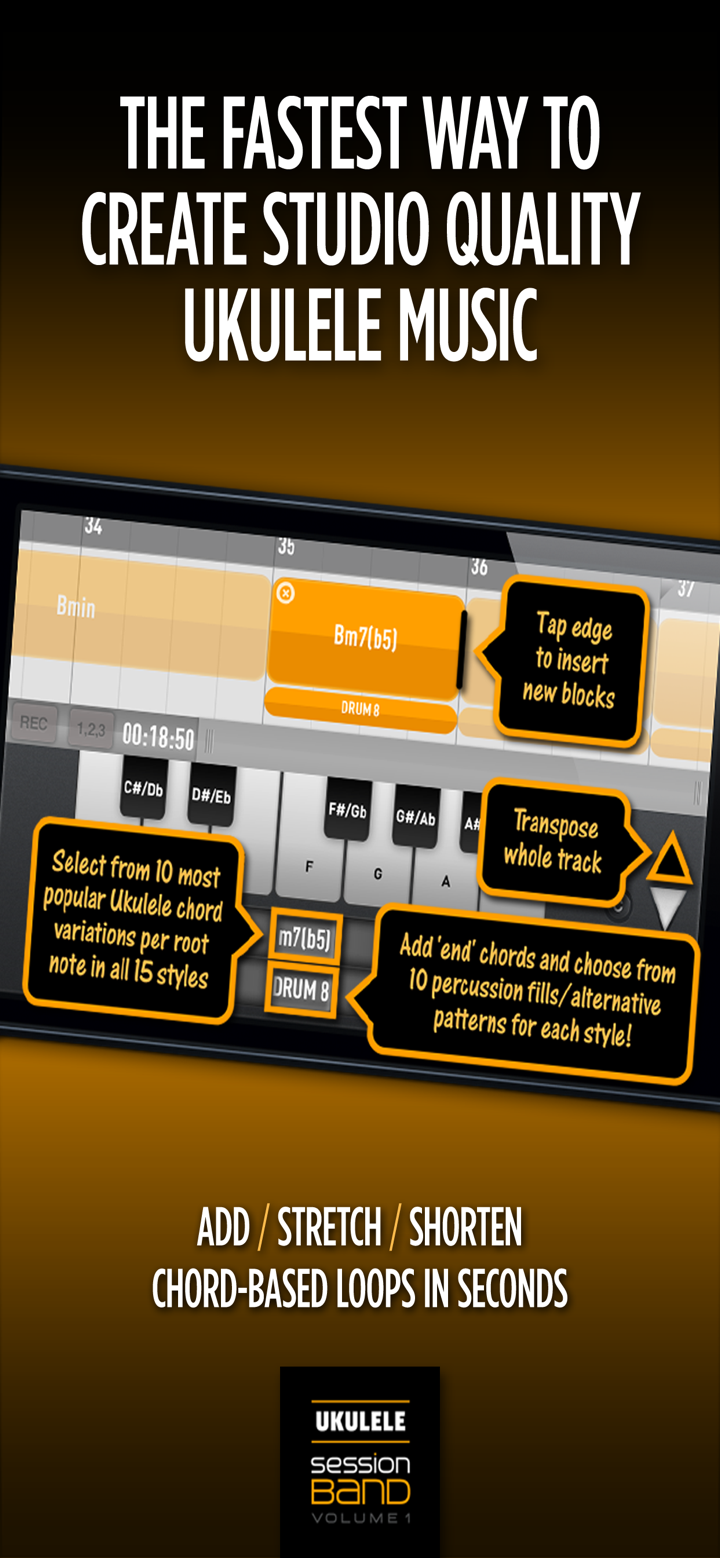 SessionBand Ukulele Band 1 screenshot 2
