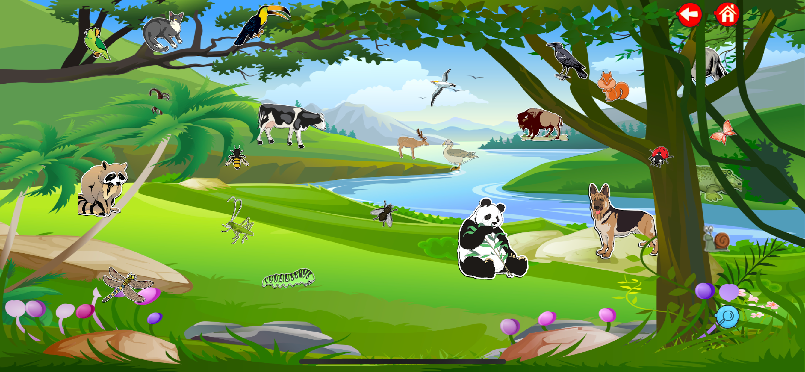Learn Animals, Birds & Insects screenshot 5