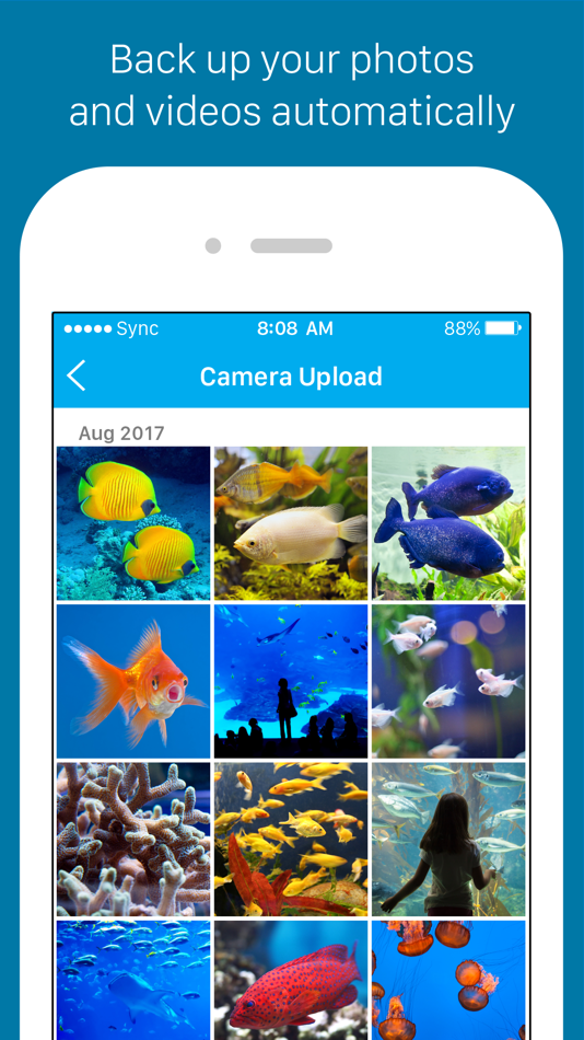 #3. Sync - Secure cloud storage (iOS) 由: Sync.com Inc.