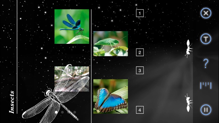 Back in Time for iPhone screenshot-3