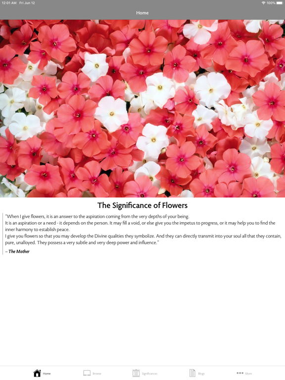Screenshot #4 pour Flower Song