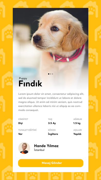 Screenshot #2 pour Patievi