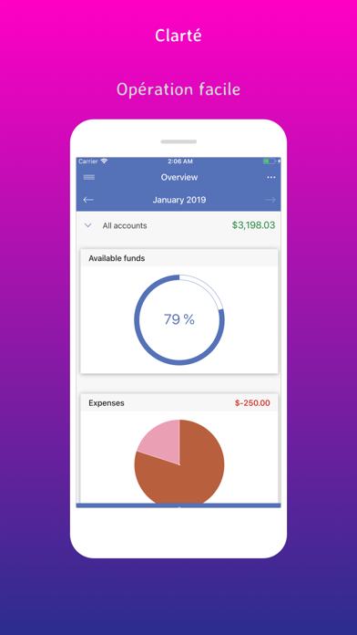 Screenshot #1 pour SayMoney - Vos finances