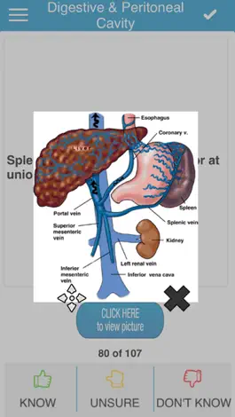 Game screenshot USMLE Anatomy Cram Cards hack