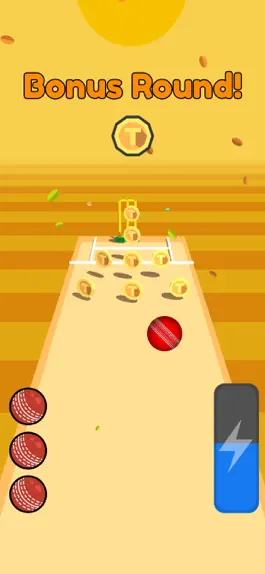 Game screenshot Real Cricket Bowling Practice hack