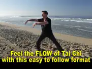 tai chi fit flow ipad images 4