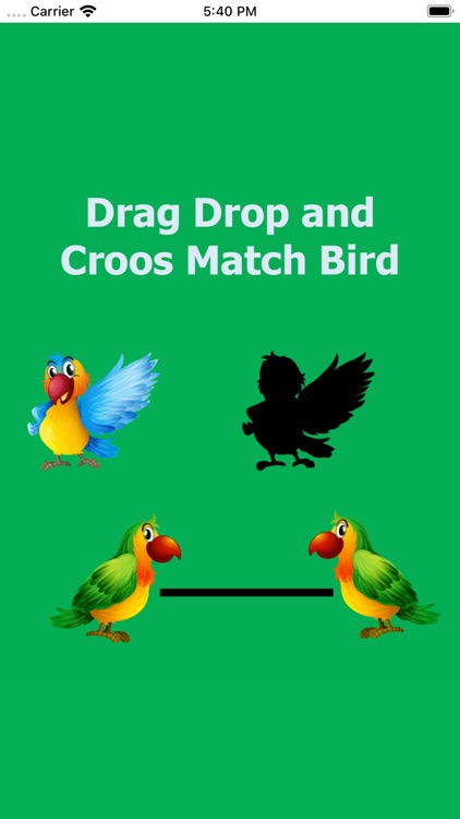 DragDropandCroosMatchBird