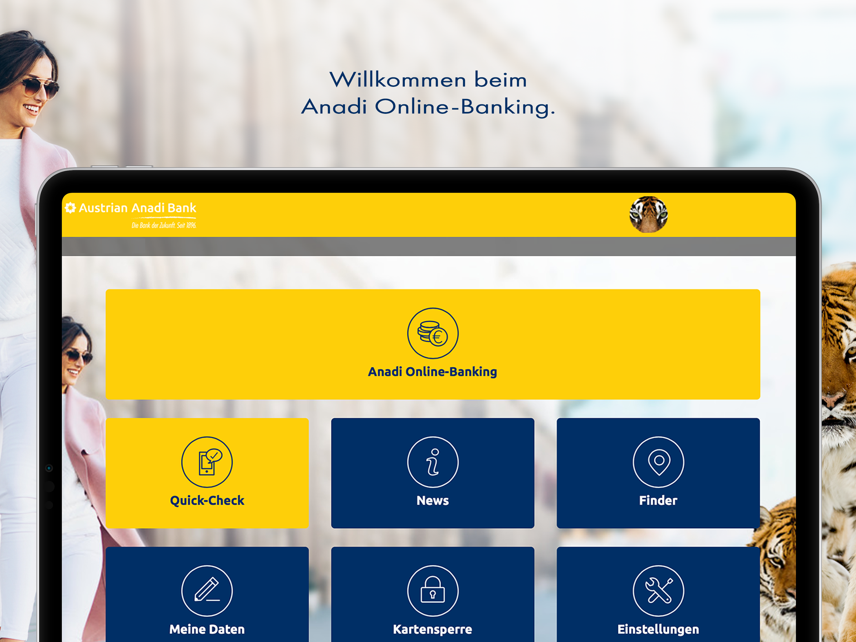 Anadi Internetbanking screenshot 4