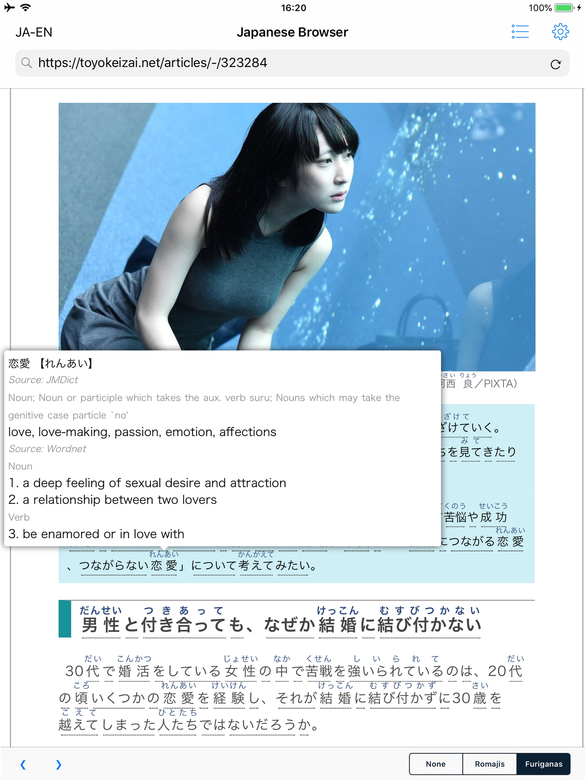 Japanese Browser - by Yomiwa screenshot 9