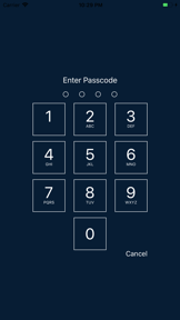 Secure Secret Password Manager screenshot