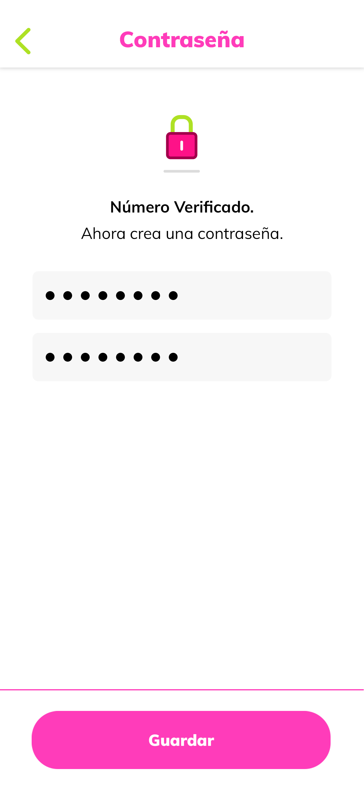 Piddelo Repartidor screenshot 8