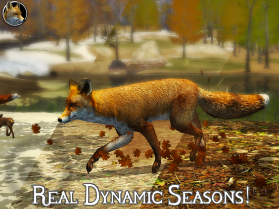 Ultimate Fox Simulator 2 iPad app afbeelding 4