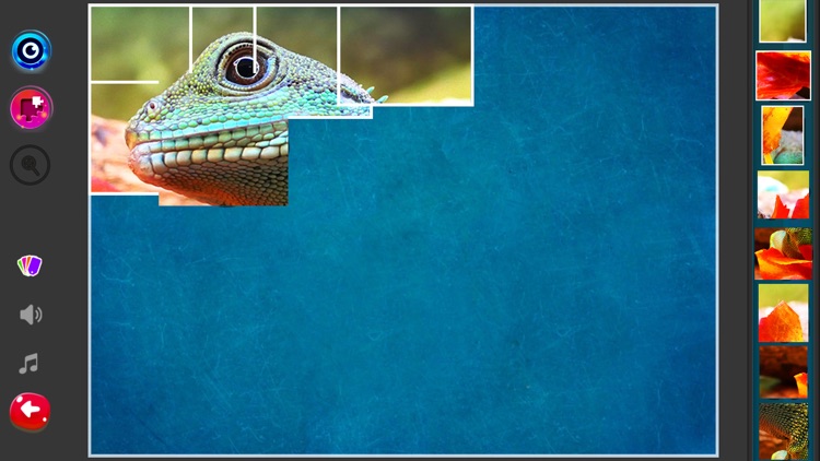 Live Jigsaw Puzzles