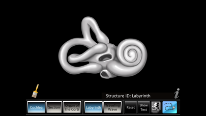 Screenshot #1 pour Inner Ear ID