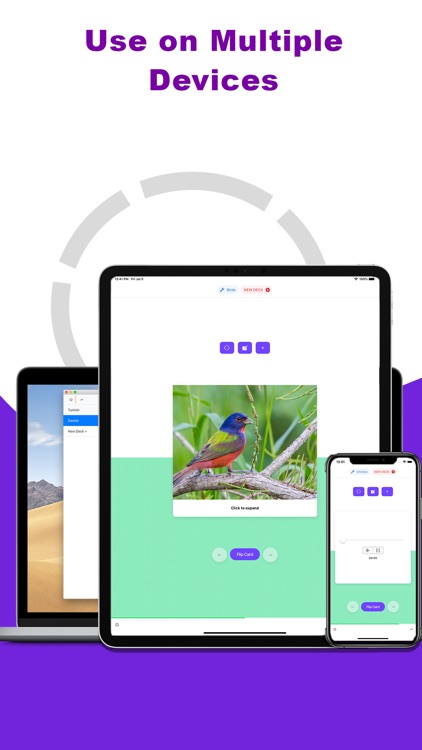 Monster Flash Cards screenshot-3