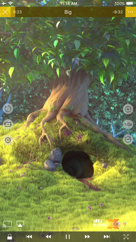 #4. nPlayer Plus (iOS) Podle: Newin Inc.