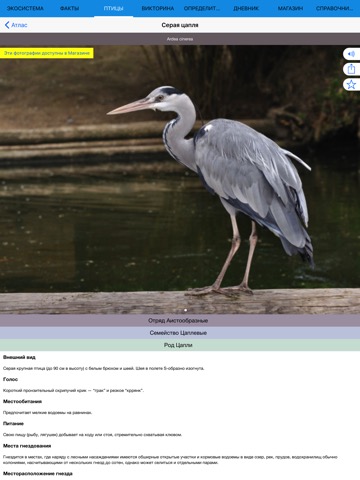 Экогид - Птицыのおすすめ画像6