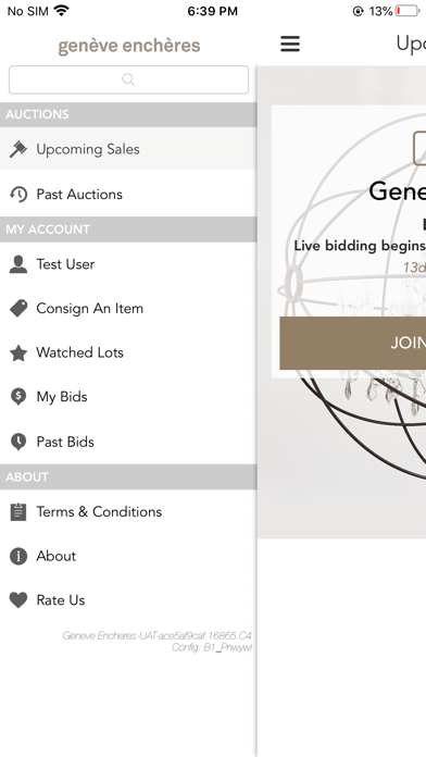 Geneve Encheres Screenshot