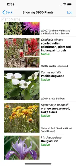 Game screenshot South California Wildflowers apk