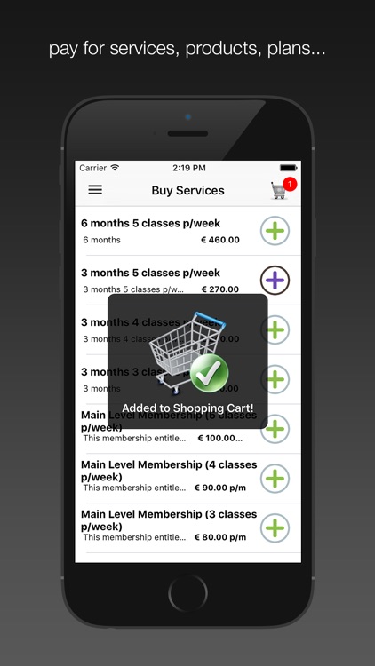 Mindful Movements Galway