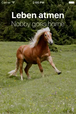 Game screenshot Leben atmen - Nobby goes home mod apk