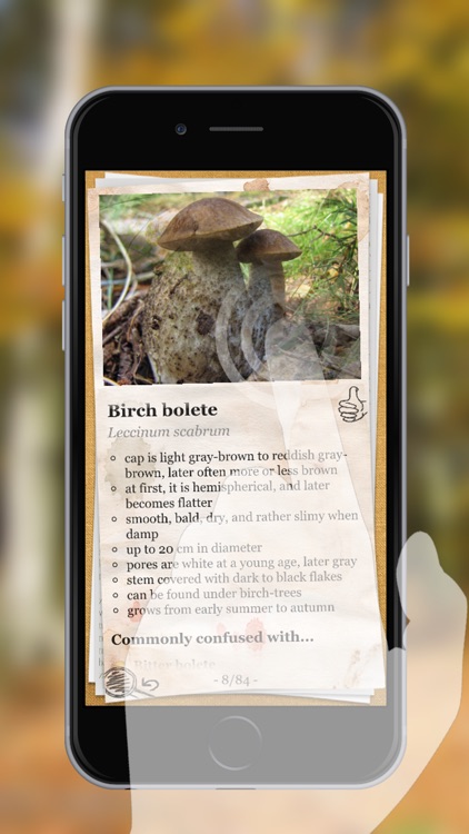The Mushroom Book