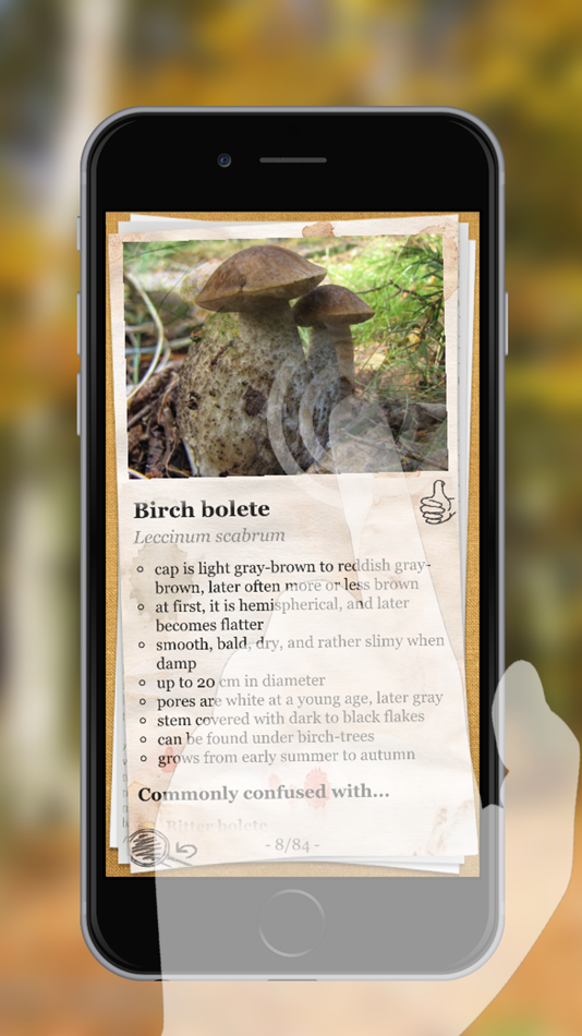 #2. The Mushroom Book (iOS) 由: Dominik Warszewski