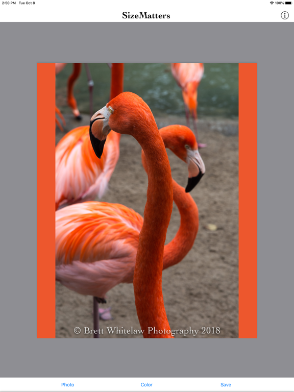 SizeMatters - No Crop Resizing iPad screenshot 5 - Photo & Video app