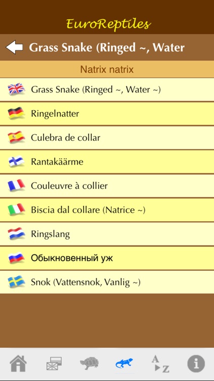 EuroReptiles screenshot-4