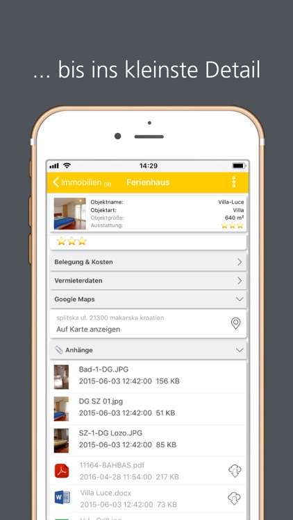 datenbanken24 screenshot-3