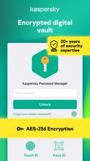 kaspersky passwords & docs problems & solutions and troubleshooting guide - 4