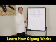meridian qigong exercises ipad images 3