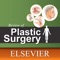 Review of Plastic Sur...