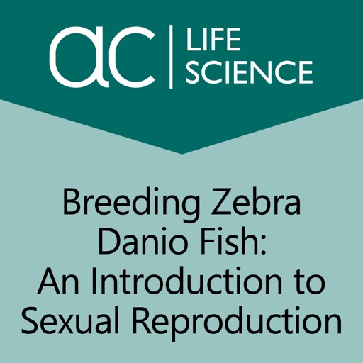 Breeding Zebra Danio Fish icon