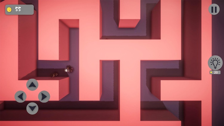 Dead Maze Run screenshot-3