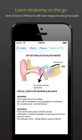 Game screenshot Instant Anatomy Anthology mod apk