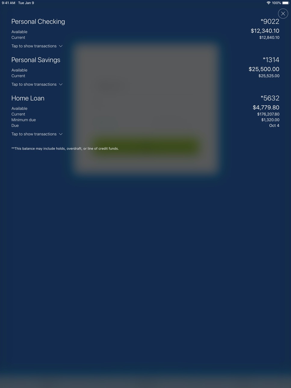 iPad screenshot