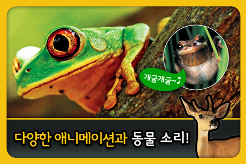 National Geographic Kids - 한국어 screenshot 3
