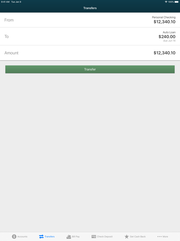 Rogue Credit Union iPad screenshot 4 - Finance app