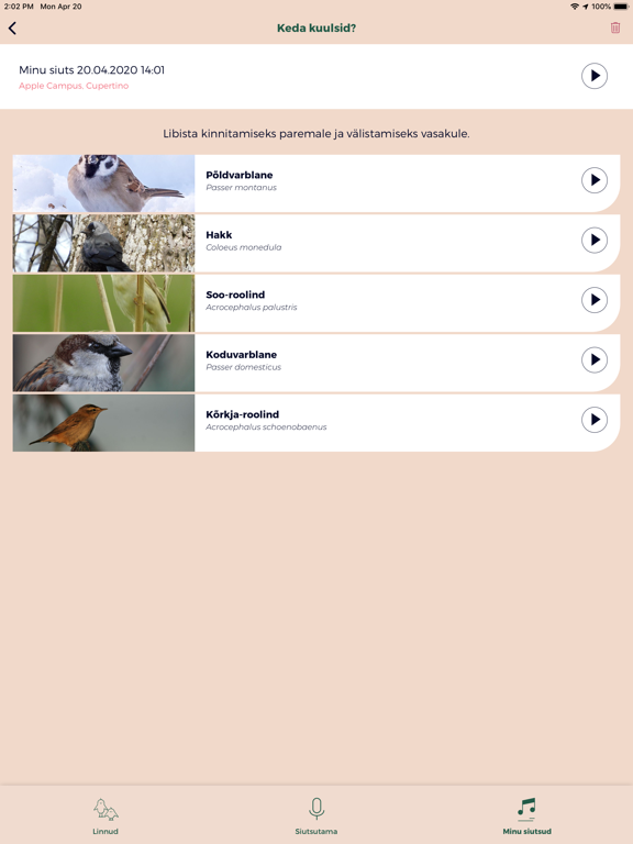 Screenshot #5 pour Siuts