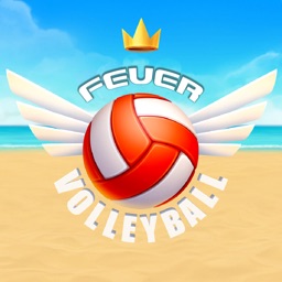 VolleyBall Fever