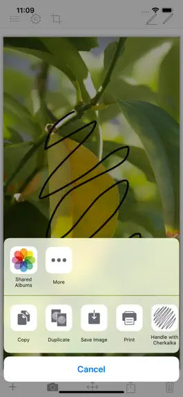 Game screenshot Cherkalka hack