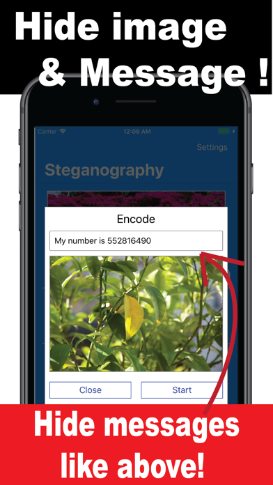 Steganography-Encrypt Message screenshot 4