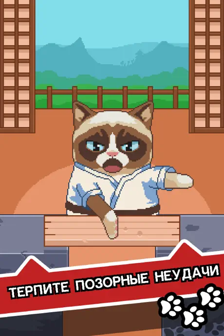 Сердитый Котик: ужасная игра