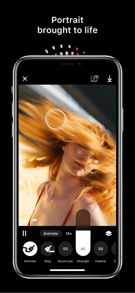 Disflow - Motion Image Editor