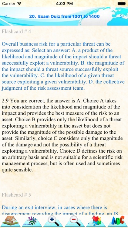 Information System Audit Pro