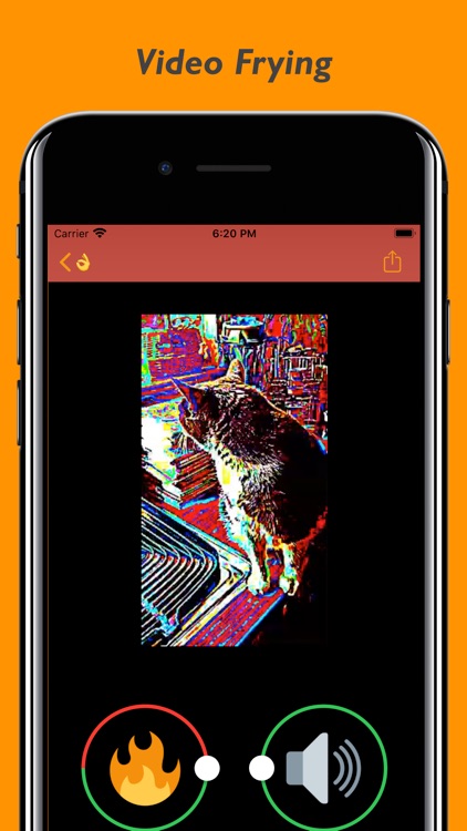 Meme Deep Fryer - Meme Maker screenshot-3