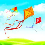 Real Kite Flying Simulator App Positive Reviews