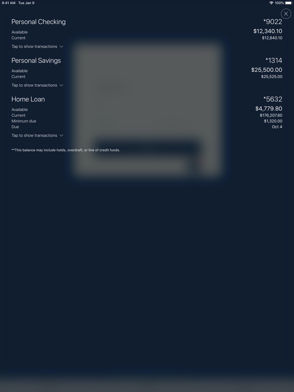 iPad screenshot