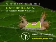 caterpillar id usa east coast ipad capturas de pantalla 1